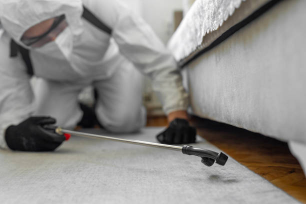 Professional Cockroach Control technician working in Oronoque, CT